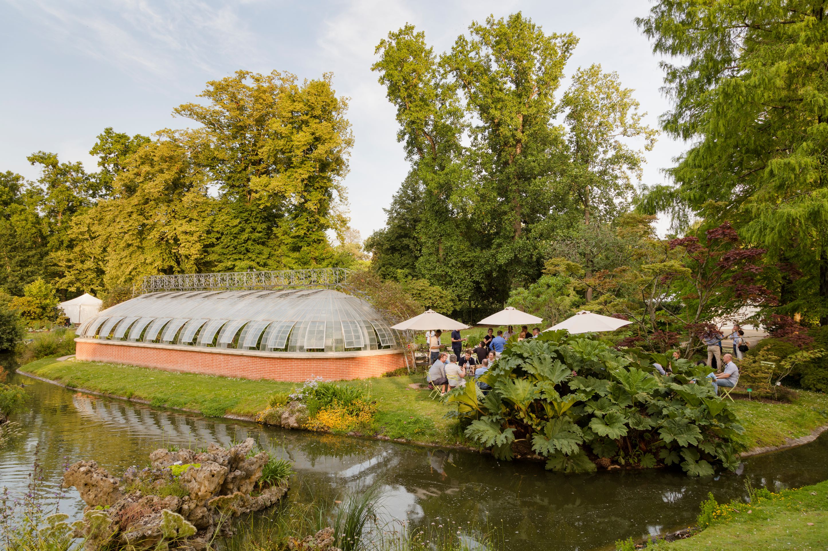 Jardin des Plantes, serre