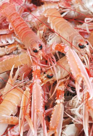 Langoustines