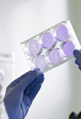 santé biotechnologies