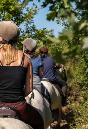 Randonnées à cheval dans la nature (activité "micro-aventure" proposée par l'agence Cravatte et Sandalettes)