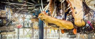 Les Machines de l'île, Le Carrousel des Mondes Marins, parc des Chantiers - Nantes