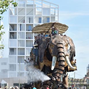 Grand éléphant, Machines de l'île