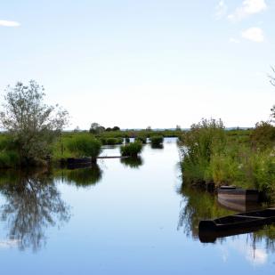 Marais de Brière