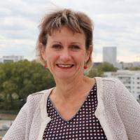 Sylvie Mazin, Chargée d'affaires