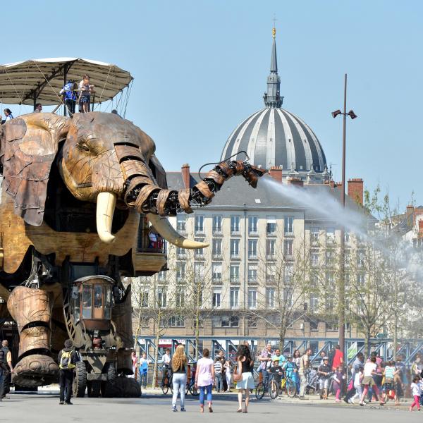 Éléphant nantes