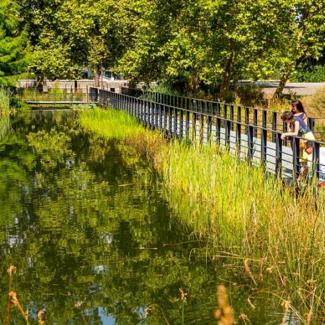 Biodiversité, Nantes