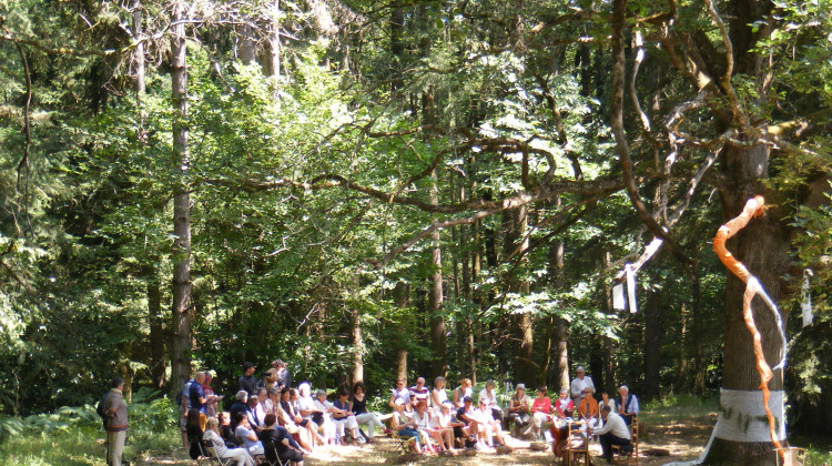 photo chateau de la foret nantes