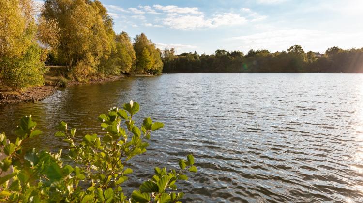 Bord de l'Erdre