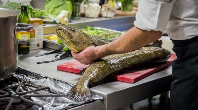 Repas du traiteur la Maison Hebel