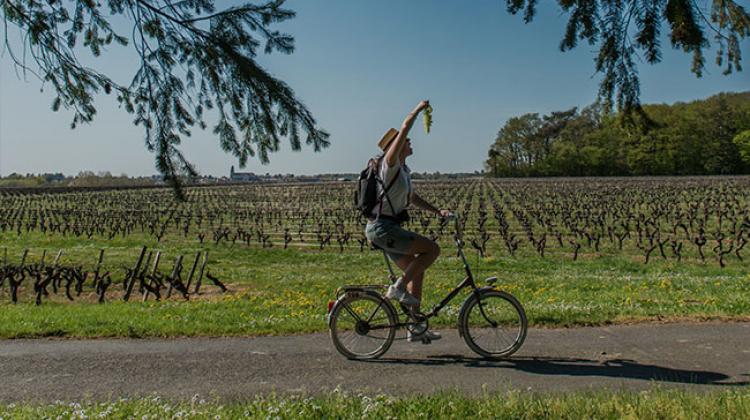 LES VIGNES A VELO - LE VOYAGE A NANTES